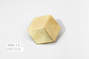 Hand Art Alicja & Jan Jakub Wyganowski Art Jewellery Brooches The Picture 2
